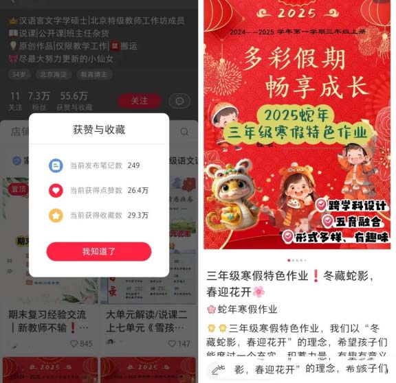 寒假作業定制虛擬資料，收入超過6萬元!-孫裔蒙