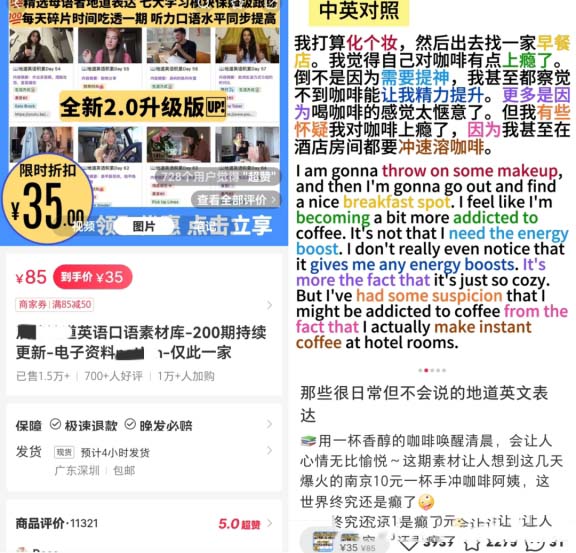 虛擬資料項目解析：自動化資料銷售，揭示52w收益的秘密!-孫裔蒙