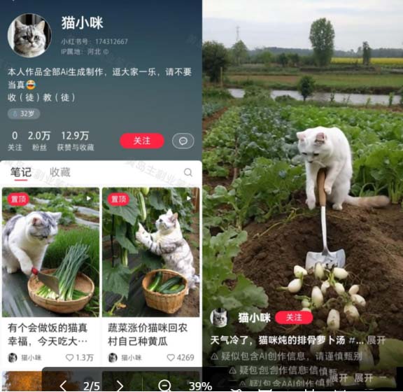 熱門可愛寵物領域，AI制作的貓咪烹飪視頻!（副業項目拆解）-孫裔蒙