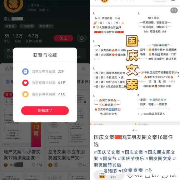 朋友圈文案模板，高單價收入達到4.8萬以上!虛擬資料副業(yè)賺錢項目拆解-孫裔蒙