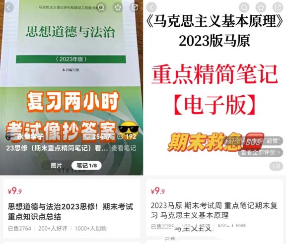 這個資料真厲害，1w粉絲收益10w+!虛擬資料副業項目拆解-孫裔蒙